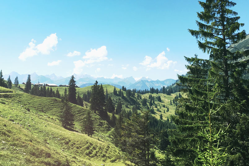 Mit diesen 7 Tricks wirst du zum Frühaufsteher. ZenMorning Morgenroutine. Blogparade auf ZENtreasures.de